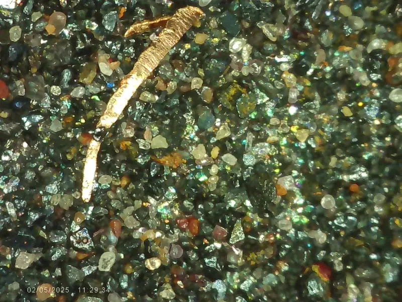 Visible gold flakes and heavy minerals observed under magnification.